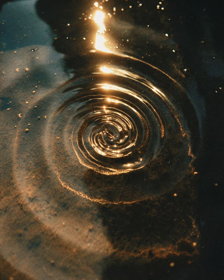 Why Are We Here on Earth?